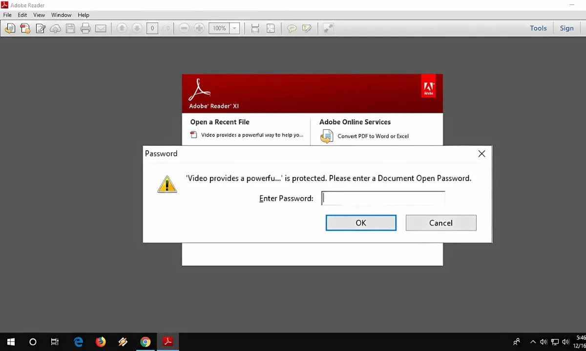 PDF Password Protected