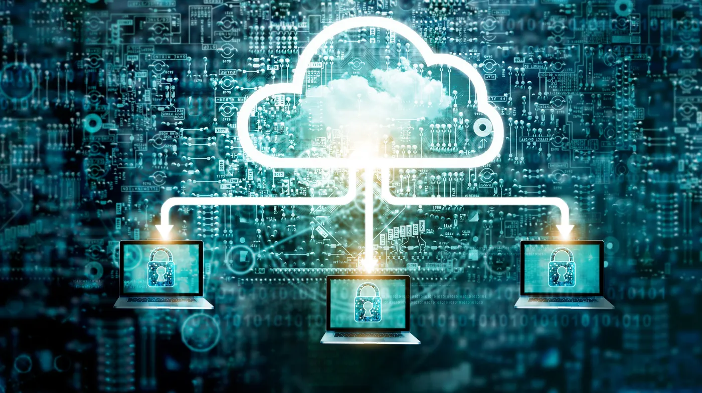 The Role of Cloud and Shadow Data